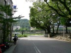 川の視点場と視対象_090